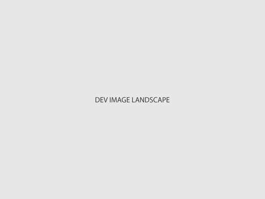 dev-landscape.png